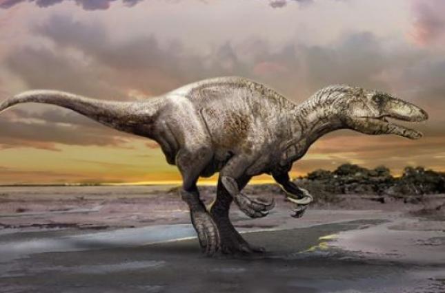 В Аргентине ученые обнаружили кости динозавра, жившего 80 млн. лет назад