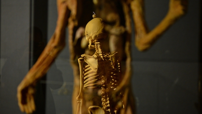Археологи нашли скелет владельца первого античного компьютера