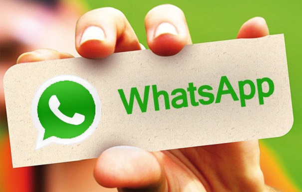 В WhatsApp возникла функция видеозвонков