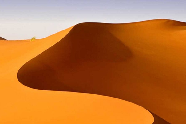 Сахара превратилась в пустыню из-за похолодания, считают учёные