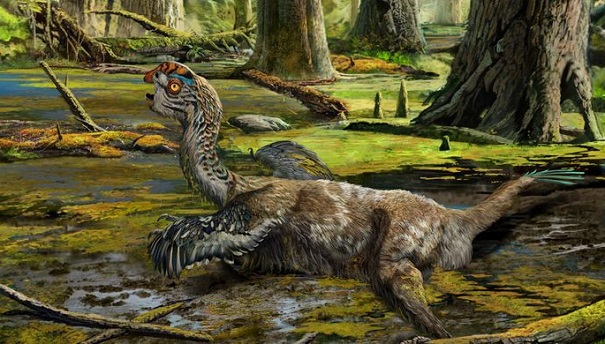 Китайцы нашли останки неизвестного пернатого динозавра