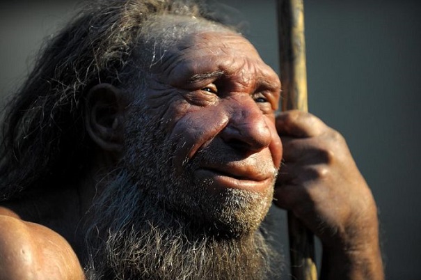 Гены неандертальцев помогли людям выжить на Севере — Ученые