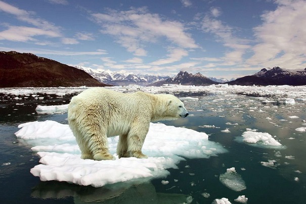 Потепление в Арктике таит новые опасности — Ученые в шоке