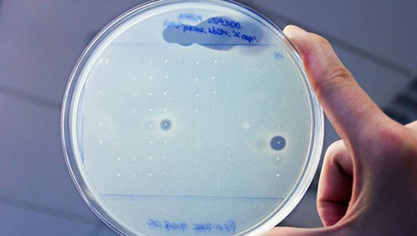 Ученые отыскали новый мощный антибиотик в кишечном тракте человека