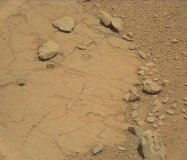 Ученые отыскали на Марсе череп динозавра