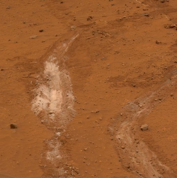 В 2007 г. NASA могло терять подтверждения инопланетной жизни на Марсе