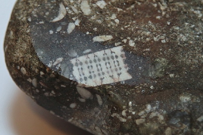 Найден древний камень с "микрочипом" в нутри