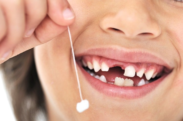 Учёные рассказали, зачем нужно хранить выпавшие зубы