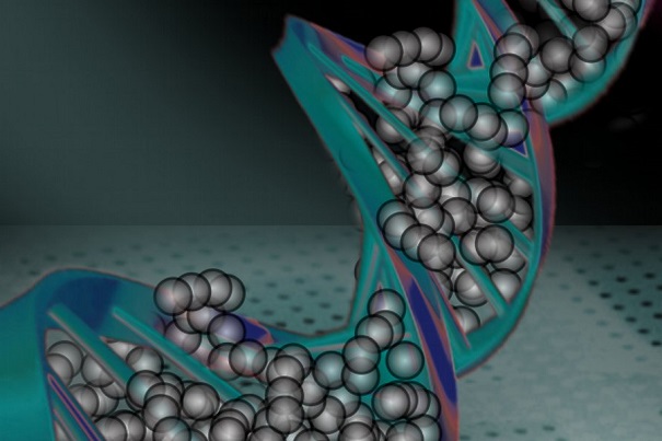 Русские ученые создали нанопроволоку из частиц ДНК и серебра