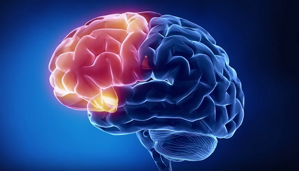 Ученые: При решении нескольких задач происходит «раскол мозга»