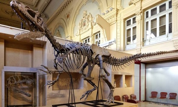 Скелет динозавра из Юрского периода продан за 1,1 млн. евро
