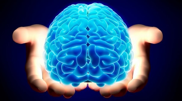 В результате стресса мозг меняет свою структуру — ученые