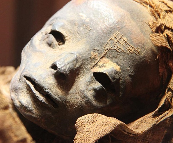 Русские ученые создали 3D-модель мумии XIII века, обнаруженной в ЯНАО