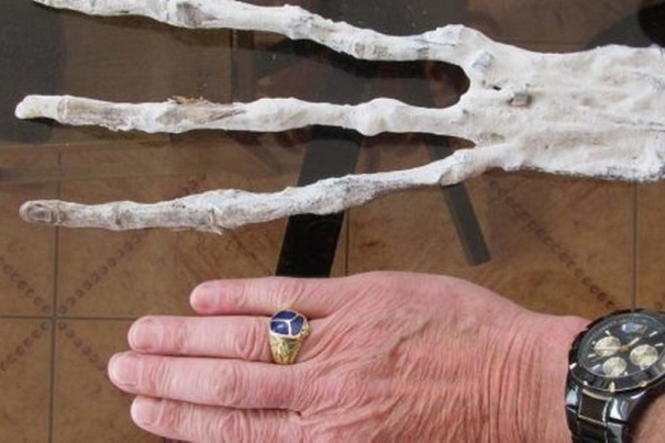 Ученые отыскали в Перу руку таинственного существа с незаурядным сплавом в ногте