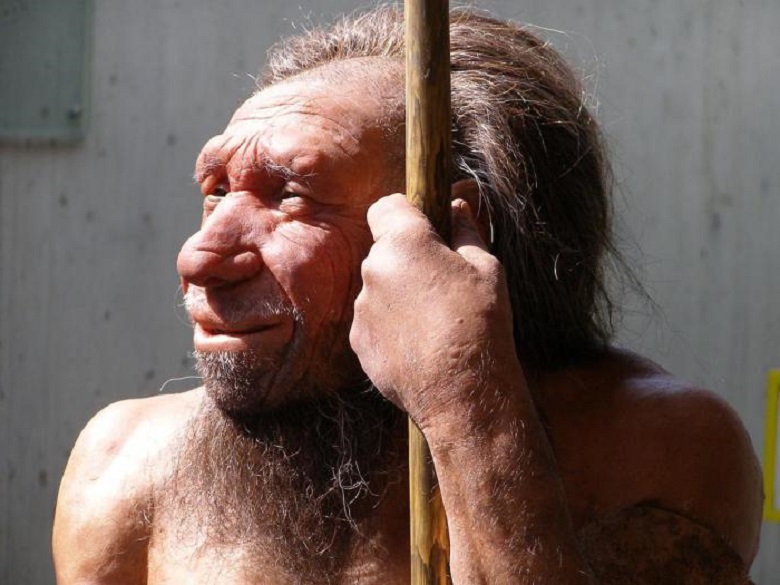 Неандертальцы были каннибалами?