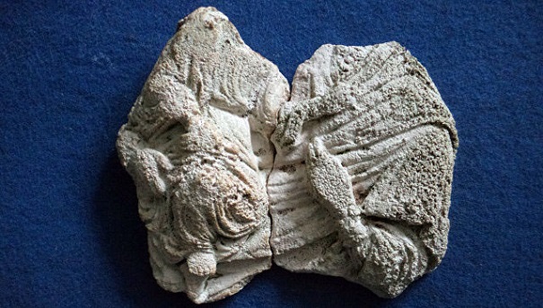 Фрагменты барельефа Богородицы с малышом на руках найдены в крепости Керчь