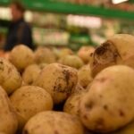 В Канаде археологи откопали картошку, которой больше тысячи лет