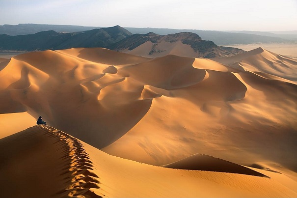 Ученые узнали, как Сахара стала пустыней
