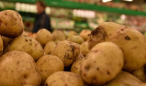 В Канаде археологи откопали картошку, которой больше тысячи лет