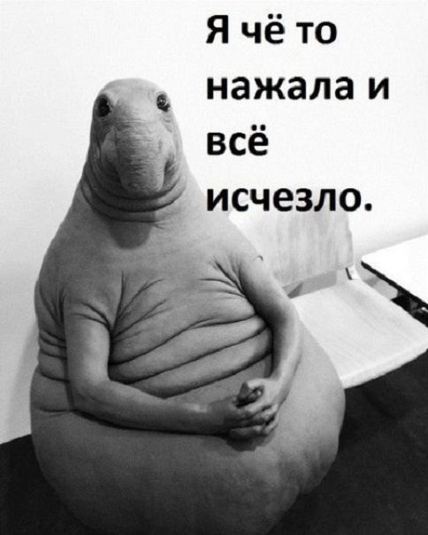 Граждан России покорил новый мем с незаурядным звериным