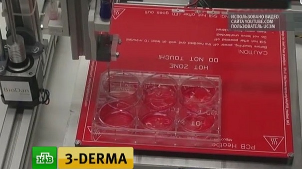Учёные распечатали человеческую кожу на 3D-принтере