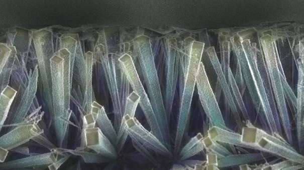 Ученые проинформировали о создании кристаллов времени