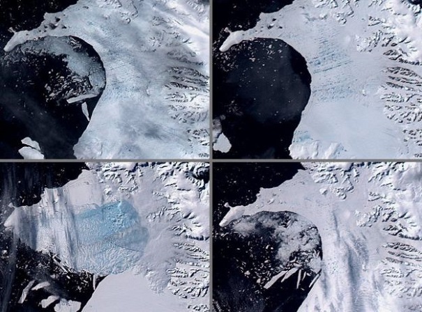 От ледника в Антарктиде отколется массивная глыба льда — ученые
