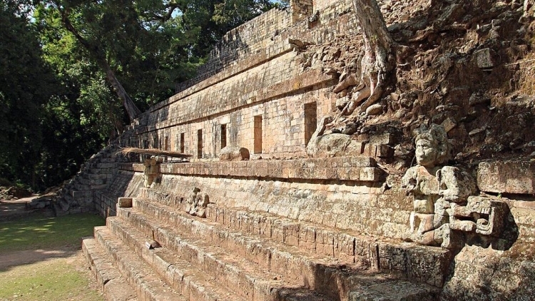 Ученые разгадали тайну древнейшей цивилизации майя