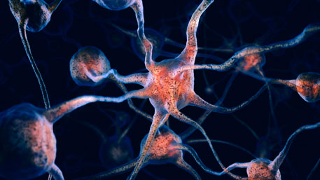 Учёные: клеточный «десант» уменьшит опухоль головного мозга