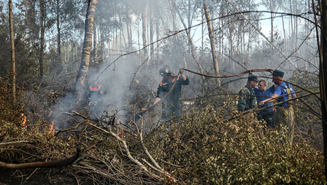 Сотрудники МЧС России на месте лесных пожаров. Архивное