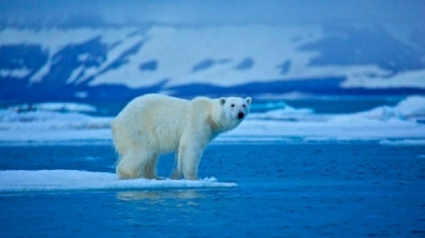Ученые: через 10-15 лет на Землю придет глобальный холод