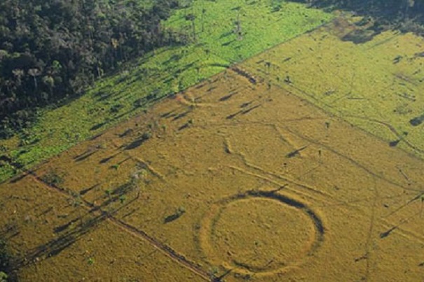 В лесах Амазонии обнаружили сотни загадочных геоглифов