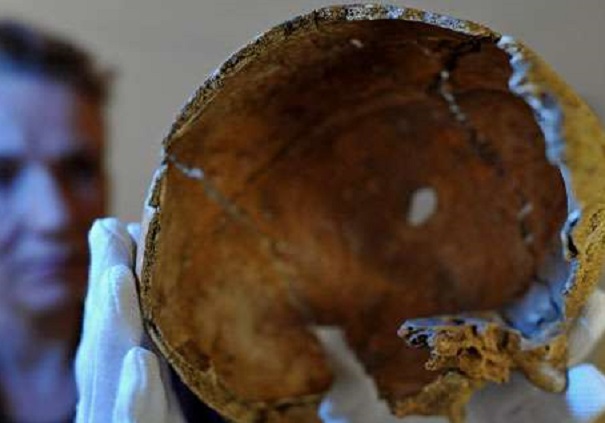 В КНР найдены черепа неизвестных науке существ