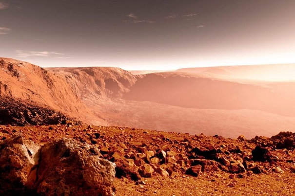 На Марсе будут растить продукты питания — ученые NASA