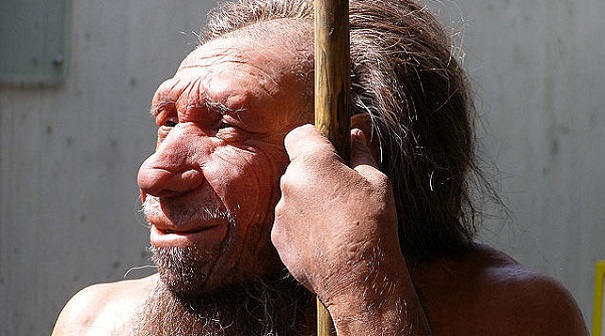Неандертальцев уличили в использовании антибиотиков и аспирина
