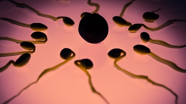 Ученые из Израиля отыскали связь между качеством спермы и временами года