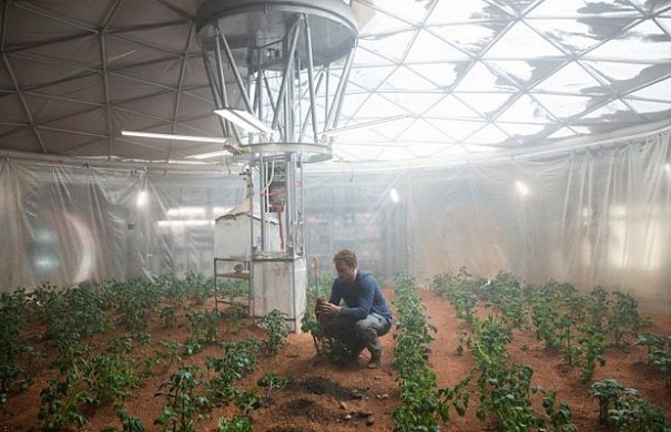 Картошка действительно вырастет на Марсе — Ученые