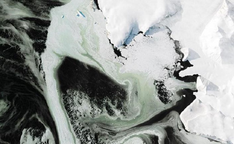 Странный зеленый лед замечен возле Антарктиды
