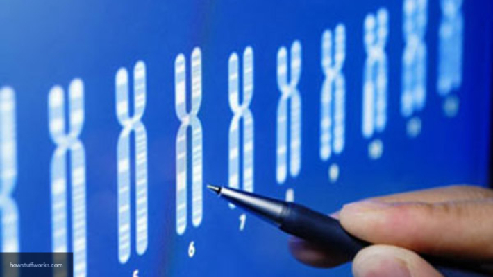 Ученые создали активные синтетические дрожжевые хромосомы