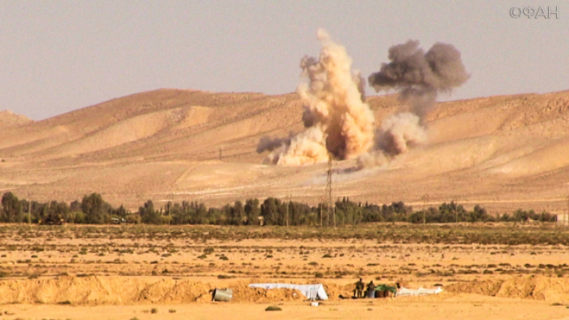 Сирия жертвами авиаудара ВВС коалиции под Раккой стали более 30 человек