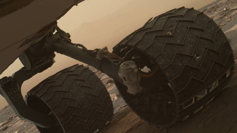 Марсоход Curiosity обнаружил загадочную ящерицу на Красной планете