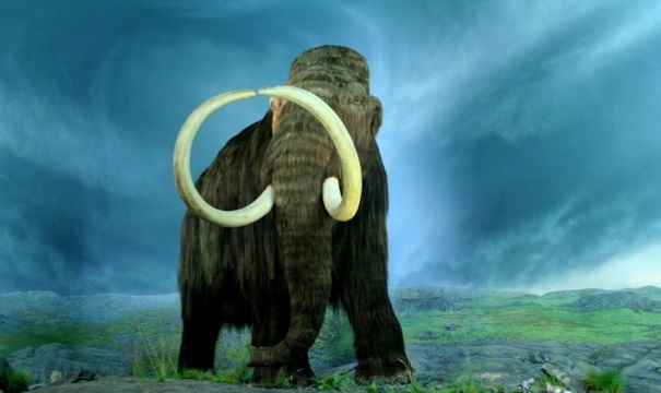Палеонтологи назвали новейшую причину вымирания мамонтов