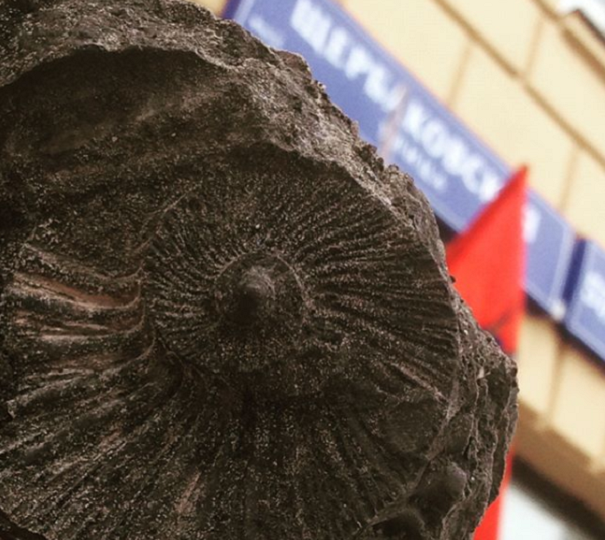 Рабочие в столице РФ находят в глине останки старинных моллюсков