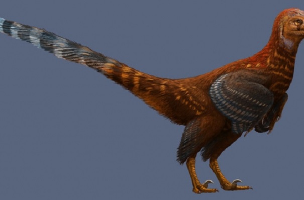 Ученые обнаружили у динозавров нынешние перья