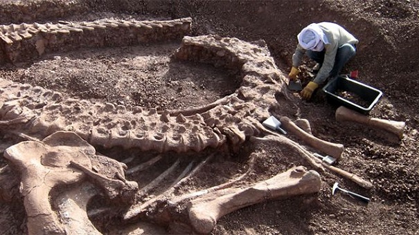 Ученые отыскали зуб динозавра, меняющий историю Америки