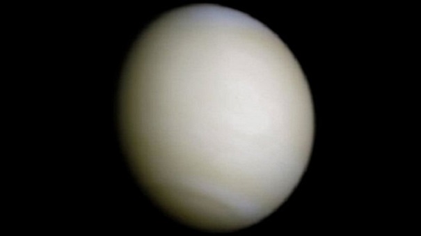 Ученые обнаружили на Земле сформировавшуюся на Венере форму жизни