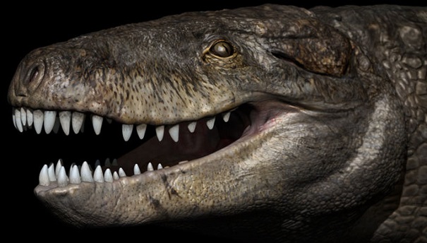 Ученые отыскали на Мадагаскаре первого гигантского крокодила