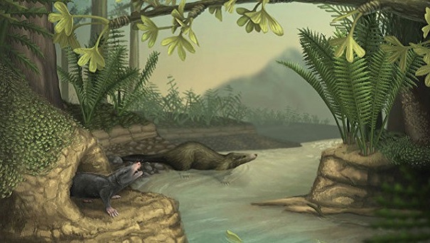 Вымирание динозавров не замедлило эволюцию млекопитающих