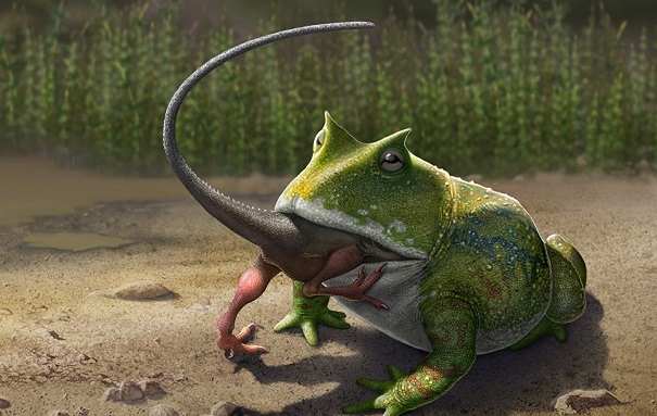 Ученые поведали о «дьявольской» лягушке, которая питалась динозаврами