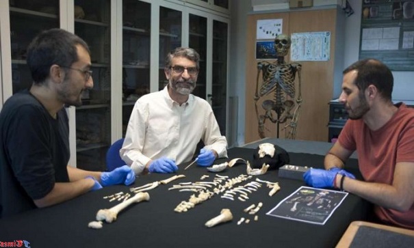 Ученые: Неандертальцы взрослели дольше актуальных на сегодняшний день людей